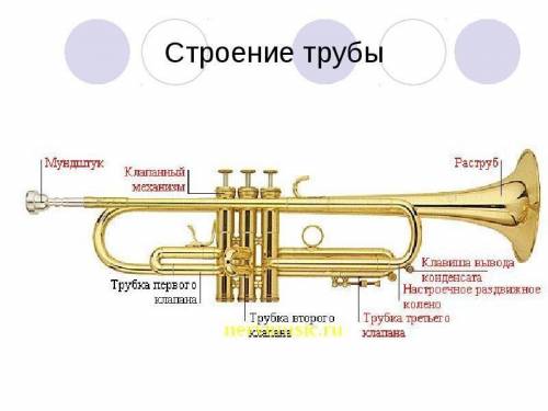 Строение тубы - музыкальный инструмент.