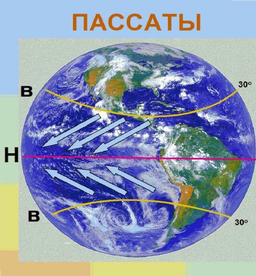 Как образуются пассаты и в каких направлениях они дуют