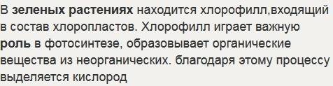 1какие функции в растении выполняют зеленые листья? 3 какие условия необходимы для осуществления фот