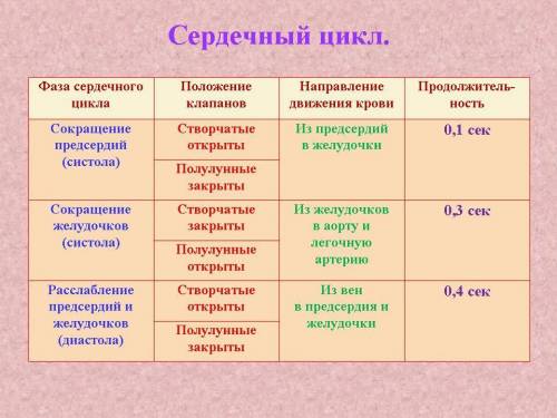 Заполнить таблицу по биологии на тему сердечный цикл: 1 ст: фаза сердечного цикла 2 ст: продолжитель