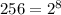 256 = 2^{8}