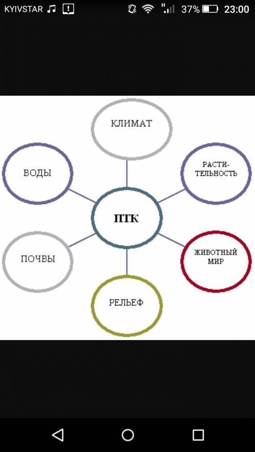 Как компоненты природного комплекса связаны между собой?