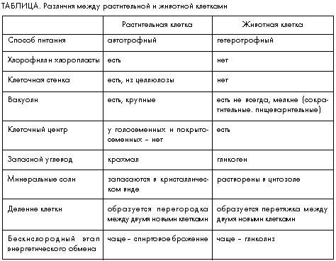 Найдите различие и сходство между животными растения, (животные растения нужно самим придумать и их