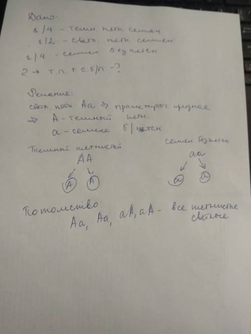 Уодного японского сорта бобов при самоопылении растения, выращенного из светлого пятнистого семени,