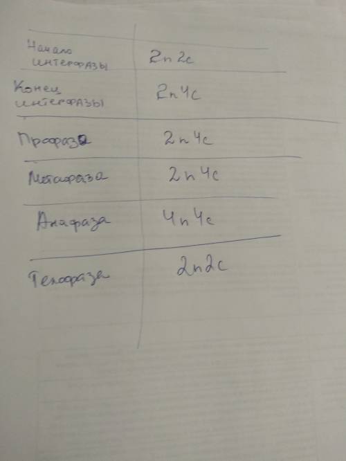 Число хромосом n число хроматид с какое соотношение между данными показателями характерно для самоти