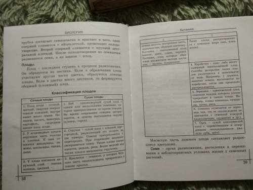 Конспект на тему плод разнообразие и значение плодов