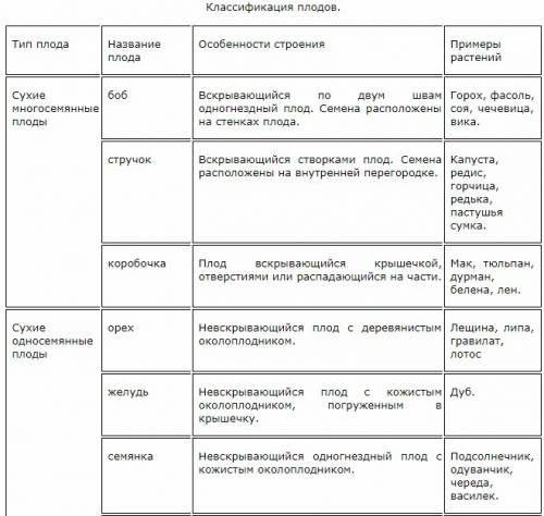 Типы плодов названия плодов примеры