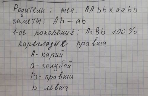 Гетерозиготная кареглазая женщина вышла замуж за голубоглазого мужчину. определите расщепление по фе