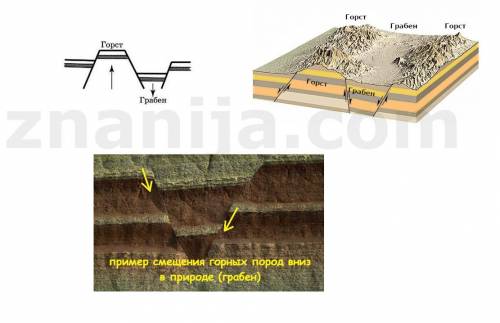 Объясните, что такое горсты и грабены и как они образуются