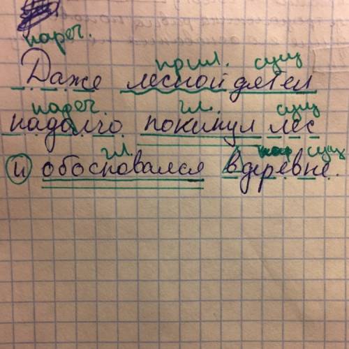 Синтаксический разбор предложения: даже лесной дятел надолго покинул лес и обосновался в деревне сло