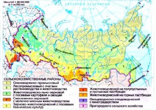 Выявите специализацию сельского хозяйства по природным зонам россии