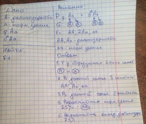 Учеловека ген дальнозоркости доминирует над геном нормального зрения. в семье муж и жена дальнозорко