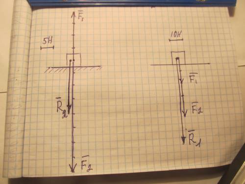На тело вдоль одной прямой действуют силы 20н и40н. чему равна равнодействующая сила? рассмотрите вс