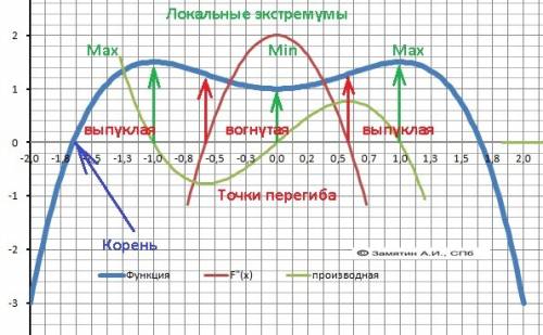 Y= 1+(/2)*x^4 полностью исследовать функцию и построить график. подробно рассписать