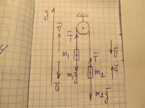 Два тела, подвешенных на достаточно длинной нерастяжимой нити, перекинутой через блок, движутся равн