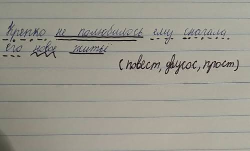 Сдеделать синтаксический разбор предложение крепко не полюбилось ему сначала его новое житьё. и нап