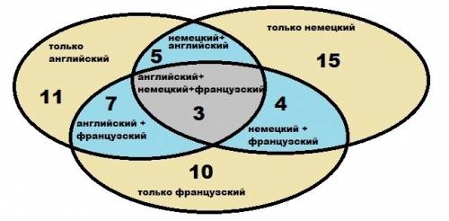 На курсах иностранных языков 26 человек изучают язык, 27 человек - , 24 человека - французский язык.