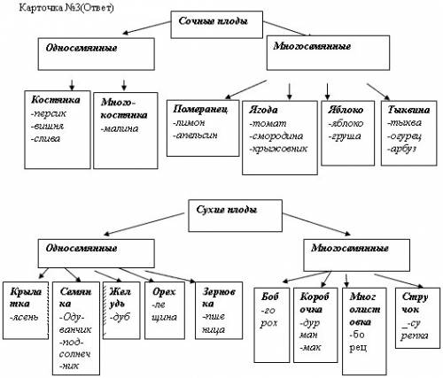 Заполнить таблицу по типам плодов следующих растегий: арбуз, малина, томат, рис, баклажан, клен, мак