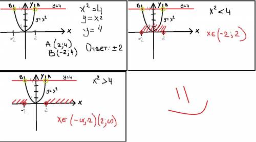 Решите графически уравнение: x^2=4; и неравенства: x^2< 4; x^2> 4.