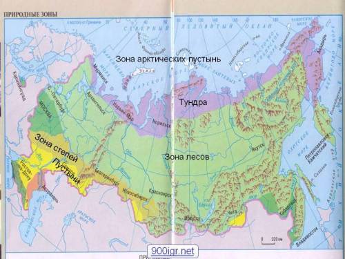 Климатический пояс арктических пустынь