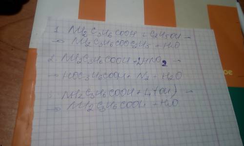 Напишите уравнение реакций взаимодействий аминомасляной кислоты с этанолом , азотной кислотой и гидр