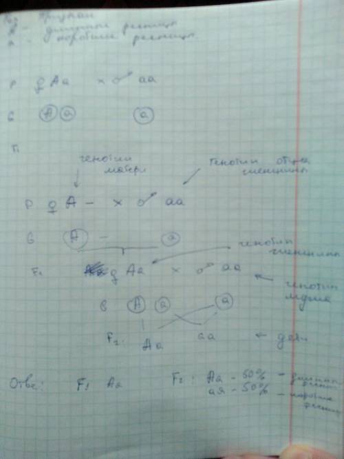 1. у человека ген длинных ресниц доминирует над геном коротких ресниц. женщина с длинными ресницами,