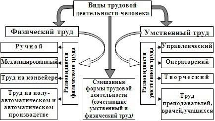 Напишите правила трудовой деятельности человека. заранее .