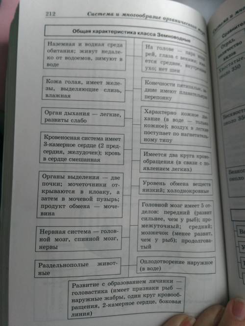 План по теме среда обитания и строение тела земноводных 7 класс, биология