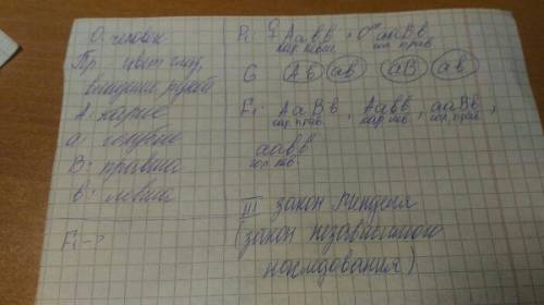 Учеловека карий цвет глаз доминирует над голубым а лучше владеть правой рукой над леворукостью. голу