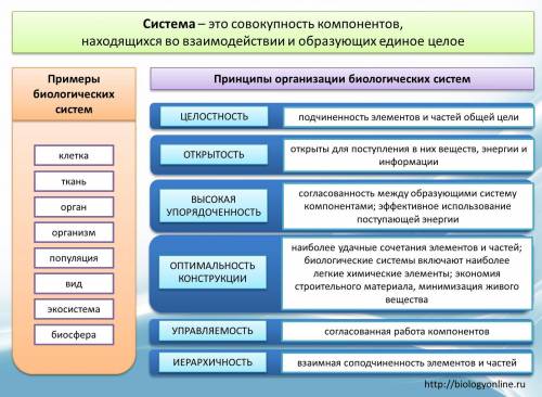 1) принципы организации биосистем 2) примеры проявления принципа организации​