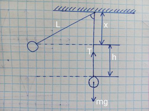 Маятник массой 5 кг отклонен на угол 60(градусов) от вертикали. какова сила натяжения нити при прохо