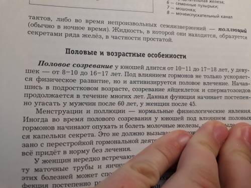 Как происходит зачатие ребенка. опишите строение половой системы мужчины и женщины. по биологии