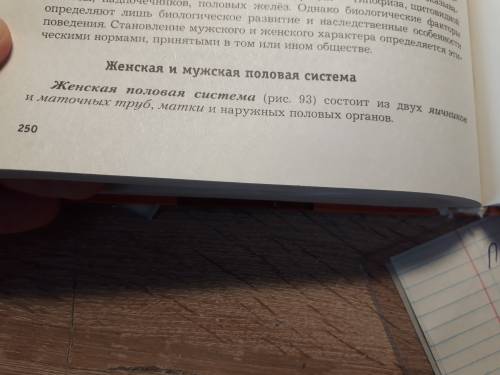 Как происходит зачатие ребенка. опишите строение половой системы мужчины и женщины. по биологии