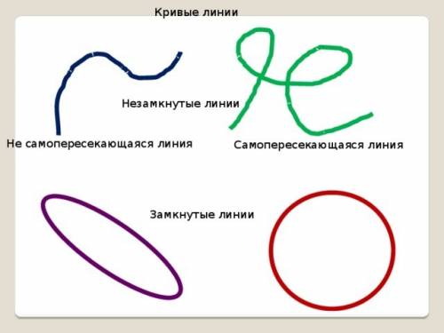 Какие линии являются замкнутыми и самопересекающимися