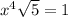 x^4 \sqrt{5} =1