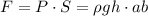 F = P \cdot S = \rho gh \cdot ab