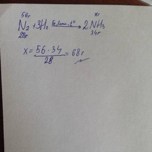 Какой объем аммиака можно получить из 56 г азота?