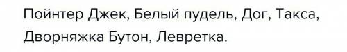 35 ! александр иванович собачье счастье главные герои, главная мысль и чему учит произведение?