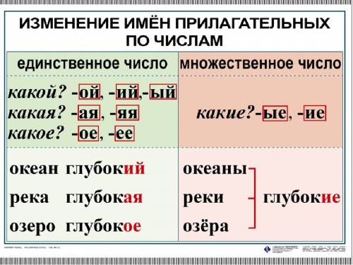 Составить таблицу < > м.р.,ж.р,с.р,множ.ч.,ед.