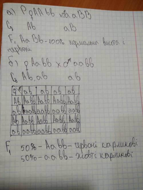 Утоматів нормальна висота (a) і червоний поділ плодів (b) - домінантні ознаки а карликовість і жовто