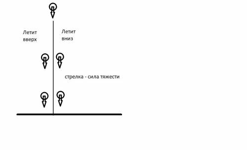 Объясните попонятней как делать 5)изобразите на схематичном рисунке силы,которые действуют на брошен