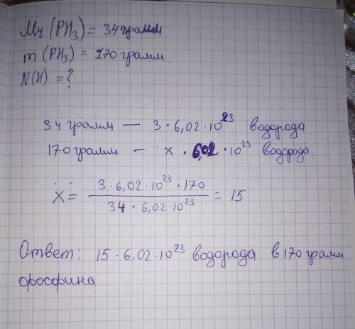 Определите количество атомов водорода в 170 г фосфина(ph3)