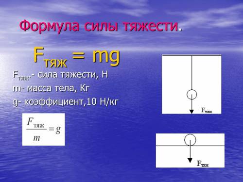 Чему равна сила тяжести, действующая на зайца, волка, медведя, носорога, слона, если их массы соотве