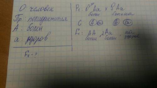 Полидактилия передаётся по наследству как доминатный аутосомный характер. каких детей можем ожидать