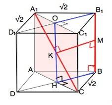 Дано куб с ребром √2 см. постройте общий перпендикуляр к прямым а1с и вв1 и найдите расстояние между