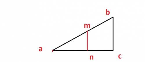 Изоброзить ∆abc m принадлежит ab n принадлежит ac так что mn||bc