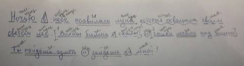 Синтаксический разбор предложений: ночью в небе появилась луна, которая освещала своим светом лес. в