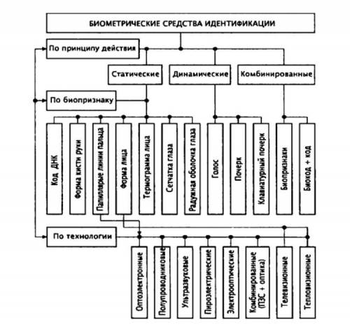 Какие биометрические системы защиты бывают?