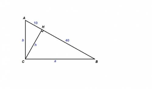 Высота прямоугольного треугольника ,проведенная к гипотенузе,делит ее на отрезки длиной 40см и 10см.