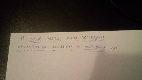 Ястою перед этим последним прозрачным листком и любуюсь им.синтаксический разбор